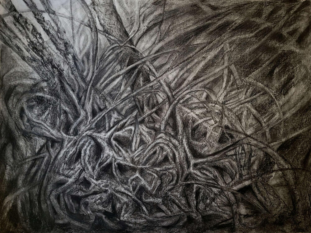 Charcoal and ink on paper (2025)